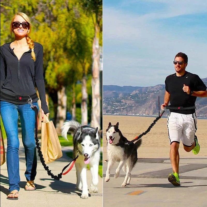 Adjustable Pet Harness Collar Leash For Comfortable Jogging Walks