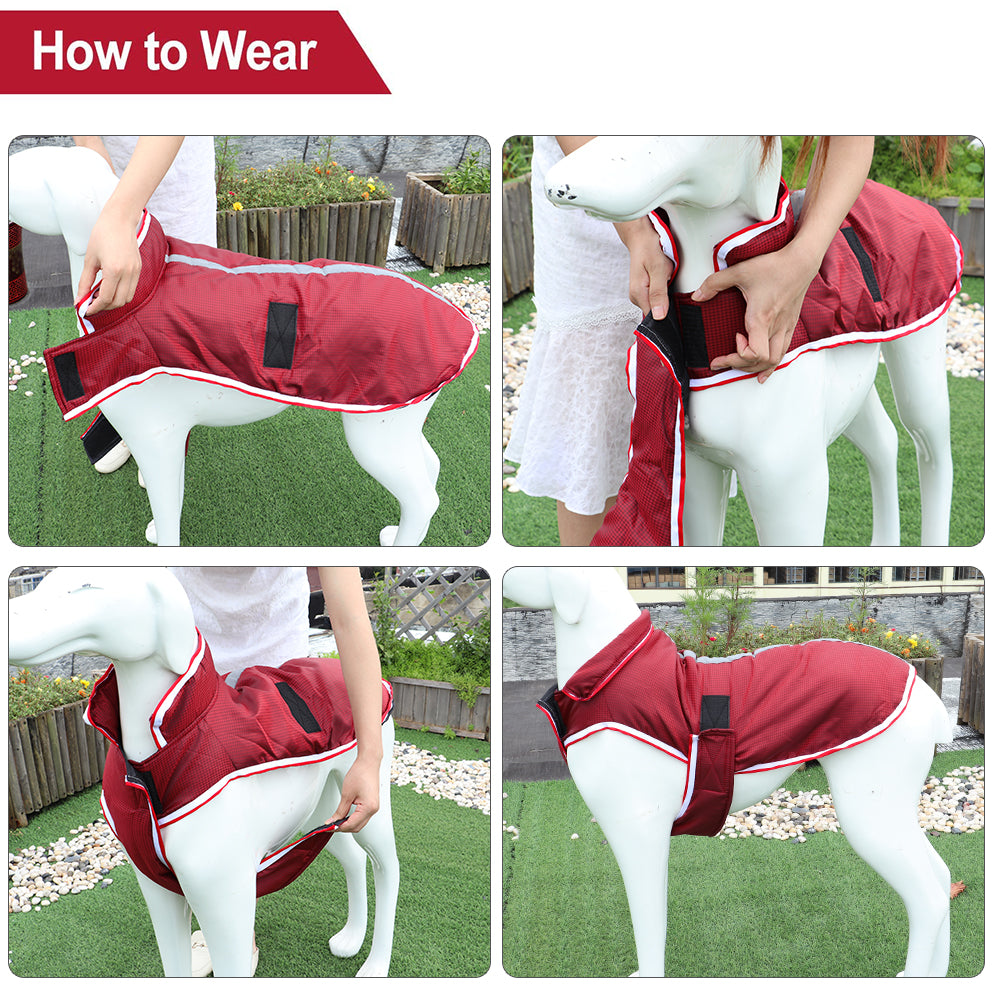 Keep Your Pets Cozy This Winter: The Ultimate Warm Waterproof Pet Leisure Jacket