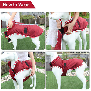 Keep Your Pets Cozy This Winter: The Ultimate Warm Waterproof Pet Leisure Jacket